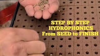 Hydroponic Seed to Finish STEP BY STEP [upl. by Yroggerg468]