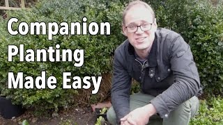 Companion Planting Made Easy [upl. by Anes]