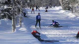 vasaloppet risberg 2018 [upl. by Jere]