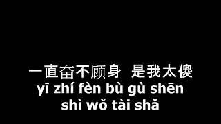 Shuo San Jiu San 说散就散  LYRIC PINYIN [upl. by Wanda202]