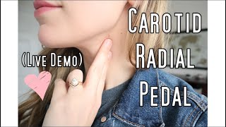 How to check a pulse Carotid Radial Pedal LIVE DEMO [upl. by Yrral]