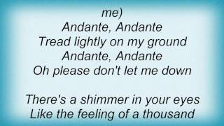 Abba  Andante Andante Lyrics [upl. by Neeruam618]