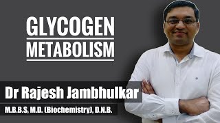 10 Glycogen metabolism Glycogenesis and Glycogenolysis [upl. by Ahsenod]