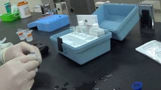 Fluoride Using HACH Colorimeter With Reagent Ampuoles [upl. by Garwin]