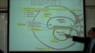 INTRO TO HUMAN EMBRYOLOGY PART 1 by Professor Fink [upl. by Faith]