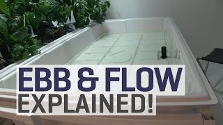 Ebb and Flow Hydroponics Explained [upl. by Siramed762]