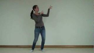 Michael Jackson Thriller Dance Tutorial PART 1 [upl. by Cordova]