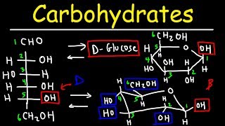 Carbohydrates  Haworth amp Fischer Projections With Chair Conformations [upl. by Amikan]