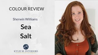 Paint Colour Review Sherwin Williams Sea Salt SW 6204 [upl. by Agnesse]