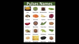 Pulses Names  Learning English [upl. by Fernande]