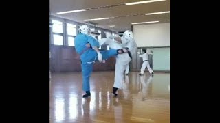 Kudo Daido Juku Practice [upl. by Enailil316]