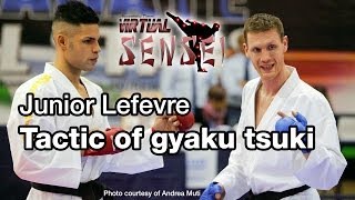 Junior Lefevre  Biomechanics and tactic of gyaku tsuki  Karate All Stars 2013 [upl. by Anahc]