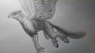 Drawing The Hippogriff from Harry Potter [upl. by Nyltak]