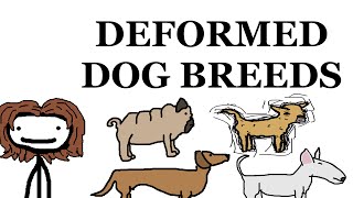 Dog Breed Deformities [upl. by Alacim]