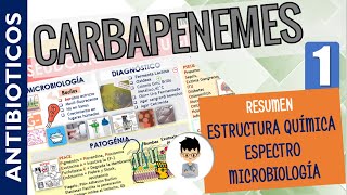 CARBAPENEMES MONOBACTAMICOS Resumen Espectro Antibacteriano Mecanismo de Acción  P1 [upl. by Amiaj]