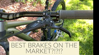 Sram G2 RSC Brake Set Long Term Review BEST MTB BRAKES EVER [upl. by Solita]