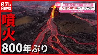 “溶岩料理”も…アイスランドで８００年ぶり首都近郊の火山噴火（2021年3月23日放送「news every」より） [upl. by Bengt]