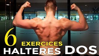 6 EXERCICES HALTÈRE POUR SE MUSCLER SON DOS EN MUSCULATION [upl. by Micheline311]