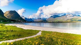 Uplifting Music  light positive happy music Gullrosøya  1 hour [upl. by Hickie]