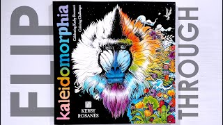 Kaleidomorphia by Kerby Rosanes Flip Through [upl. by Neirol]