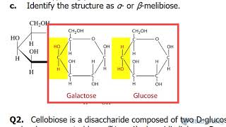 Glycosidic Bonds in Disaccharides Explained [upl. by Maybelle]