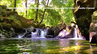 528Hz Miracle Tone  Riverbirds amp forest sound HD  No Headphones Required  4 Hours [upl. by Iramaj]