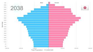 Japan Population Pyramid 19502100 [upl. by Tranquada815]