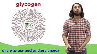 Carbohydrates Part 2 Polysaccharides [upl. by Chally]