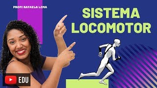 Sistema Locomotor esqueleto e músculos [upl. by Leunamesoj790]