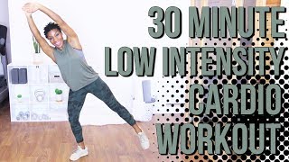 30 Minute LIIT Cardio Workout  Fat Burning  Low Intensity Interval Training [upl. by Aver115]