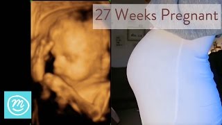 27 Weeks Pregnant What You Need To Know  Channel Mum [upl. by Aibun]