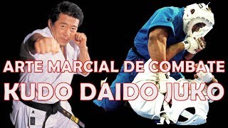 KUDO arte marcial de combate mixto Daidō Juku Kūdō [upl. by Alex]