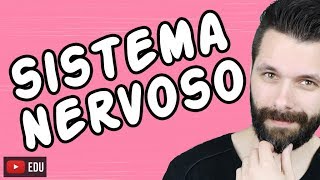 SISTEMA NERVOSO  FISIOLOGIA  Aula  Biologia com Samuel Cunha [upl. by Ecnaled929]