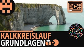 Kalkkreislauf Grundlagen │Chemie Lernvideo Learning Level Up [upl. by Lindemann]