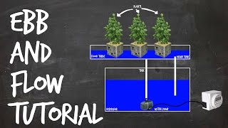 How to Set Up an Ebb and Flow DIY Hydroponics System Flood and Drain [upl. by Ycrem]