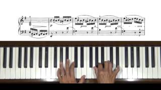 Le Coucou The Cuckoo by Daquin Piano Tutorial [upl. by Anile]