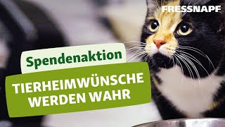 Die Spendenaktion für Tierheime – „Tierheimwünsche werden wahr“ [upl. by Fredel]