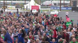 Northern Ireland fans Sing Sweet Caroline EURO 2016 [upl. by Assenna]