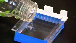 Casting an Agarose Gel [upl. by Sarkaria]