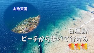 【石垣島】船に乗らなくも歩いて行ける竜宮城 [upl. by Nyleve]