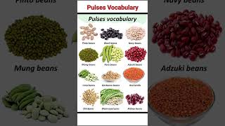 Pulses vocabulary name [upl. by Novyat]