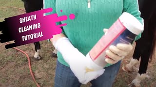 Sheath Cleaning Tutorial for Horses [upl. by Wessling61]