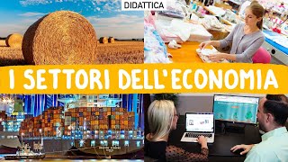 Didattica i SETTORI dellECONOMIA [upl. by Asaph]