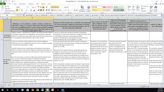 How to Create a Literature Matrix Excel [upl. by Anires]