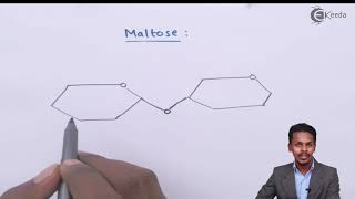 Glycosidic Linkage  Biomolecules  Chemistry Class 12 [upl. by Ahsinek]