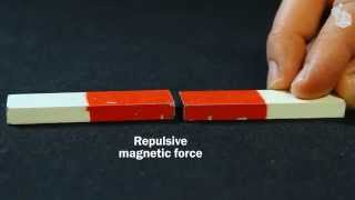 Video Lab Magnetic forces [upl. by Eliseo840]