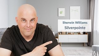 Sherwin Williams Silverpointe Color Review [upl. by Latona]