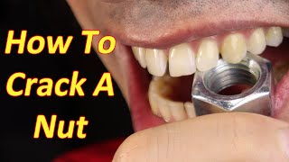 How To Make A Nut Splitter Easiest Way [upl. by Liza]