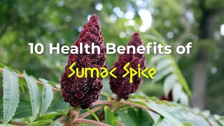 10 Health Benefits of Sumac Spice [upl. by Zacek]