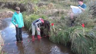 How to Measure Stream Flow [upl. by Wheeler125]